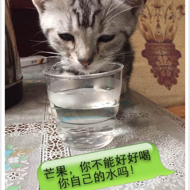 专升本学位证照片